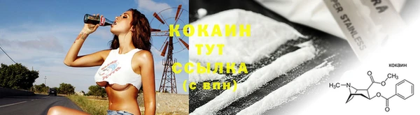 кокс Арсеньев