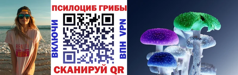 Псилоцибиновые грибы Psilocybe  Макаров 